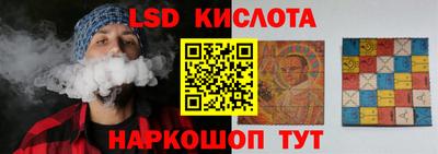 прущие грибы Будённовск