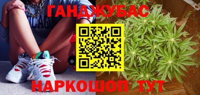 прущие грибы Будённовск