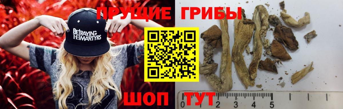 Красноуфимск  Галлюциногенные грибы Cubensis  Вход с VPN  Галлюциногенные грибы ЛСД 